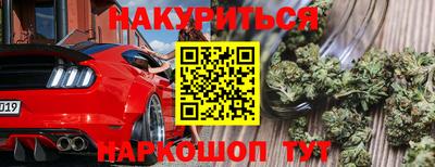 СК Краснодар