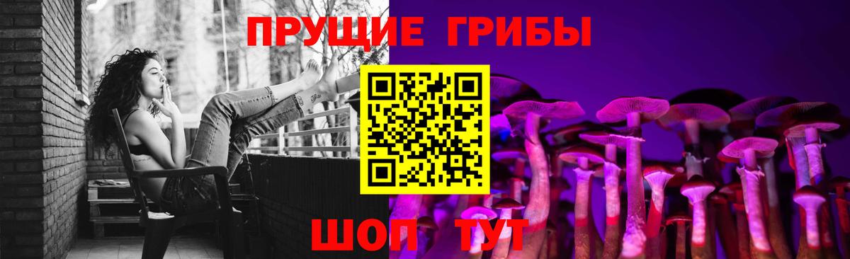 где купить наркоту  Вход с VPN  Псилоцибиновые грибы мухоморы  Назрань  Псилоцибиновые грибы Cubensis 
